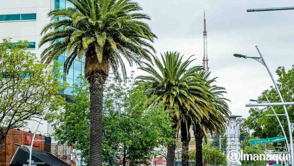 ¡Toma precauciones! Checa los cierres viales por eventos del FIP 3 Avenida Juarez1 e1636759780859