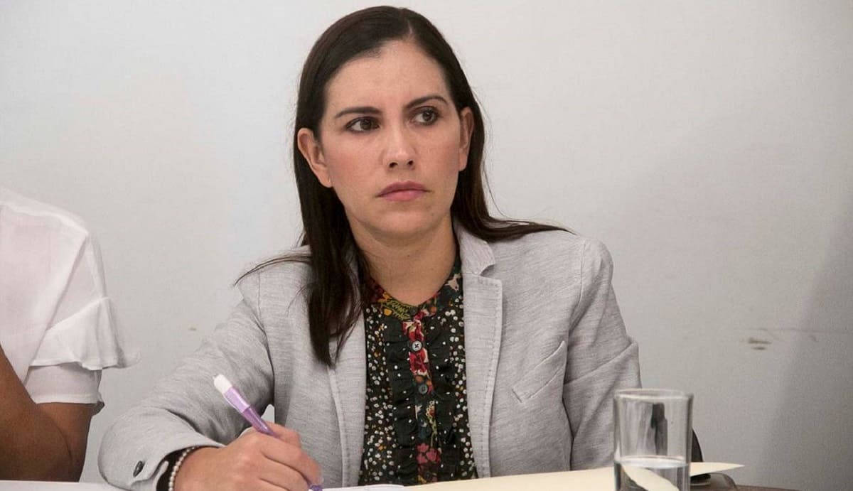Twitter suspende la cuenta de diputada panista por comentario homofóbico 1 Diputada Elsa Mendez 1