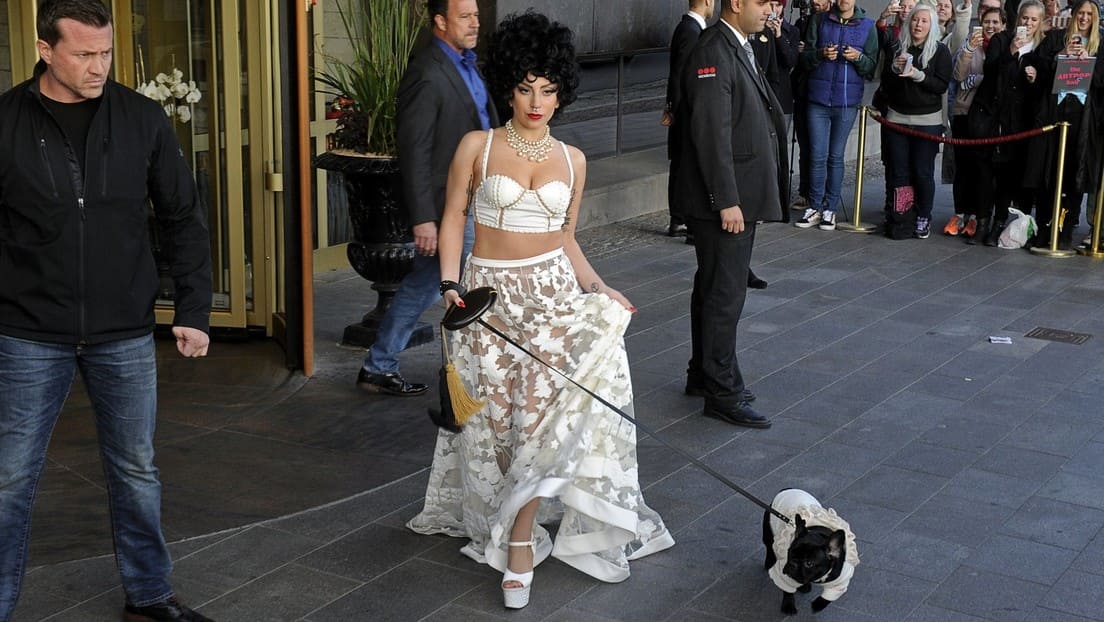 VIDEO: Captan al cuidador de perros de Lady Gaga siendo baleado durante el robo de dos bulldogs 2 Lady Gaga 1