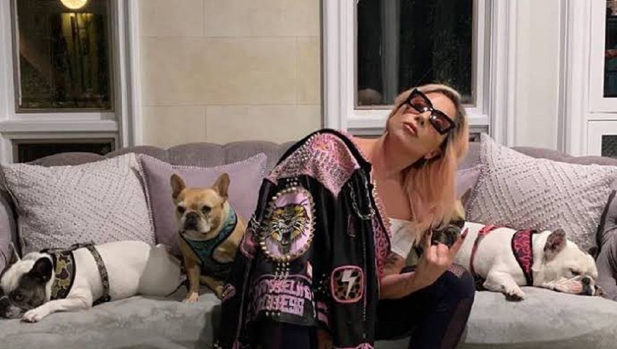 Lady Gaga ofrece recompensa de 500 mil dólares por sus dos perros robados en Hollywood 2 Lady Gaga