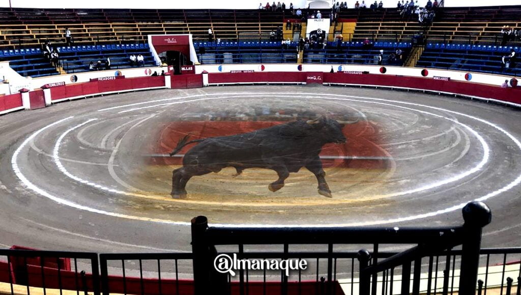 Toros Puebla portada