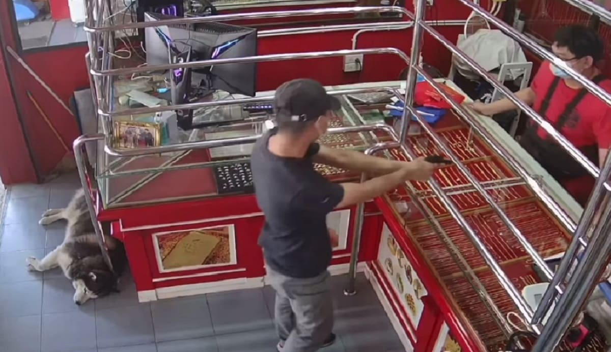 VIDEO: Un hombre finge robo a su tienda y la reacción de su perro se hace viral 3 asalto 1