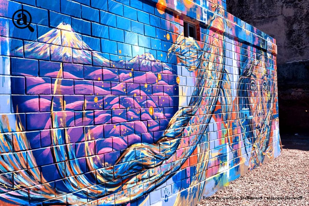 Muralista poblana pinta casa entregada por subsecretario de Vivienda de Puebla 8 casa2