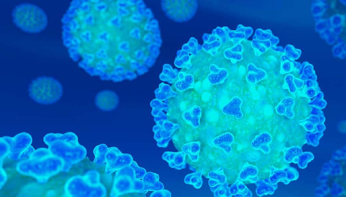 Detectan el primer caso de variante Lambda en México y esto es lo que debes saber 3 coronavirus 1 1