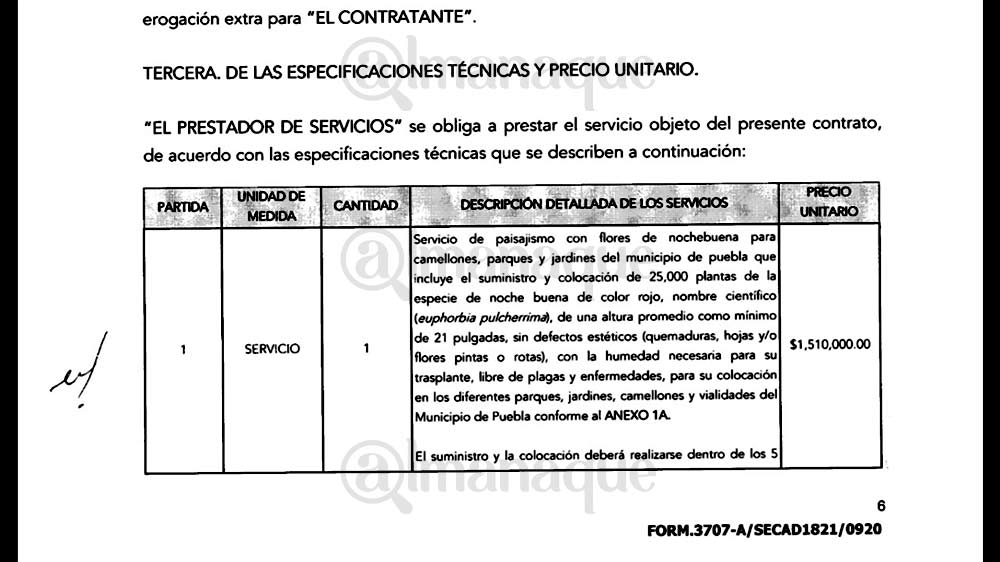 documento noche buena