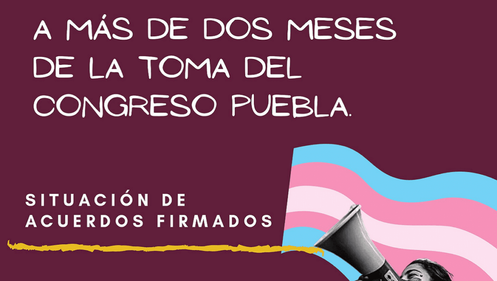 feminisitas voto castigo puebla 2