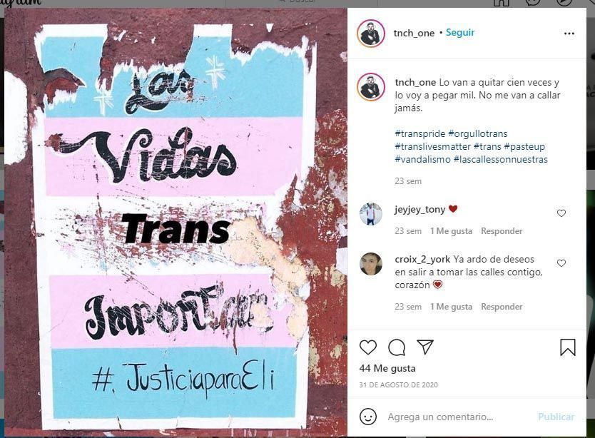 las vidas trans importan