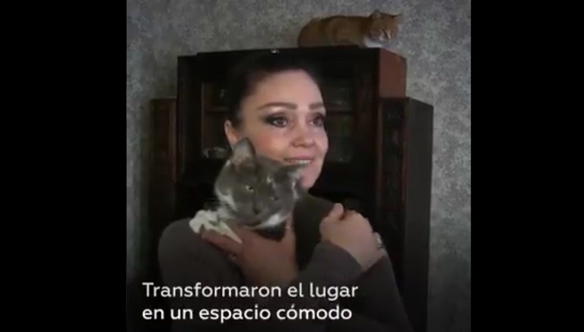 VIDEO: Vende su piso para comprar casa y alojar a decenas de gatos rescatados 2 leopardo