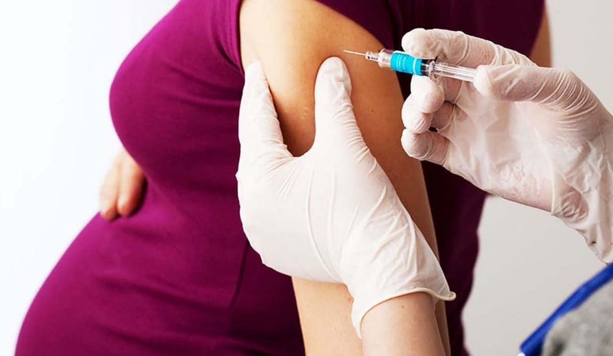 Pfizer y BioNTech estudian efectos de la vacuna anticovid en embarazadas 3 vacuna 1 4