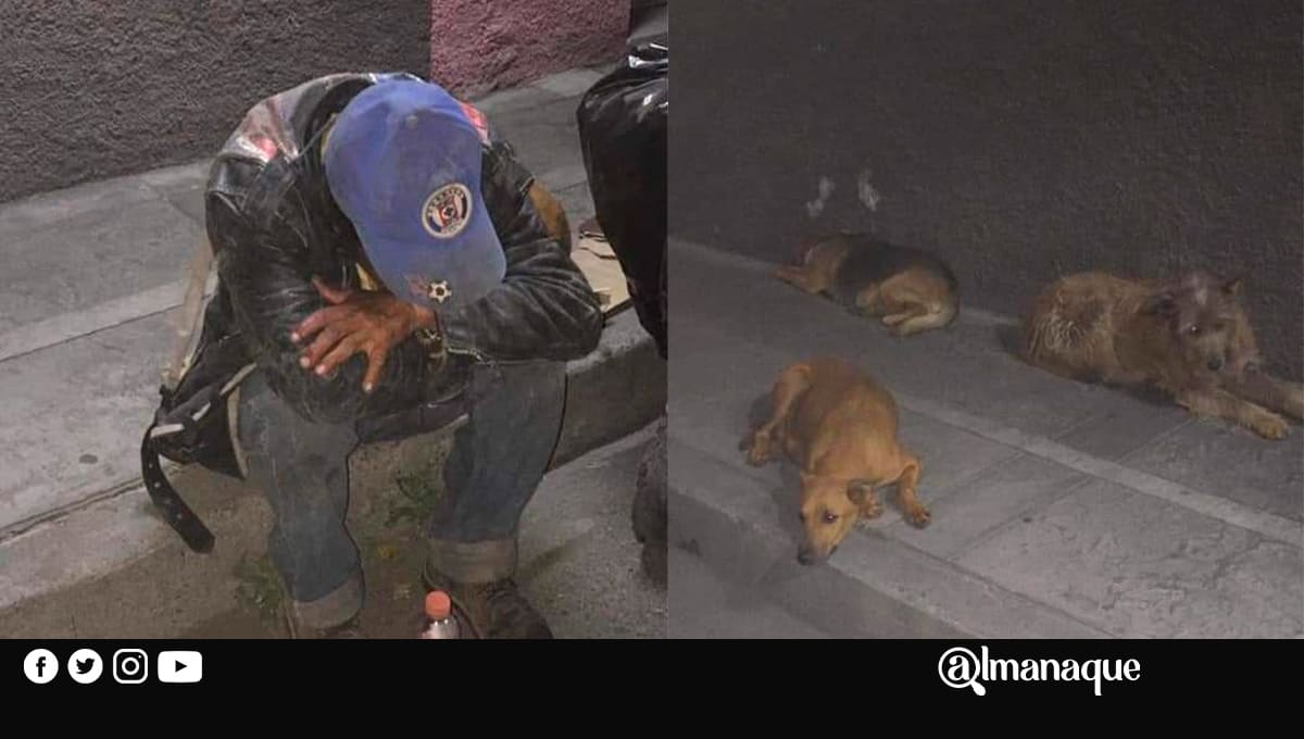 Vecinos de Atlixco se unen para ayudar a hombre y sus lomitos 1 32132121