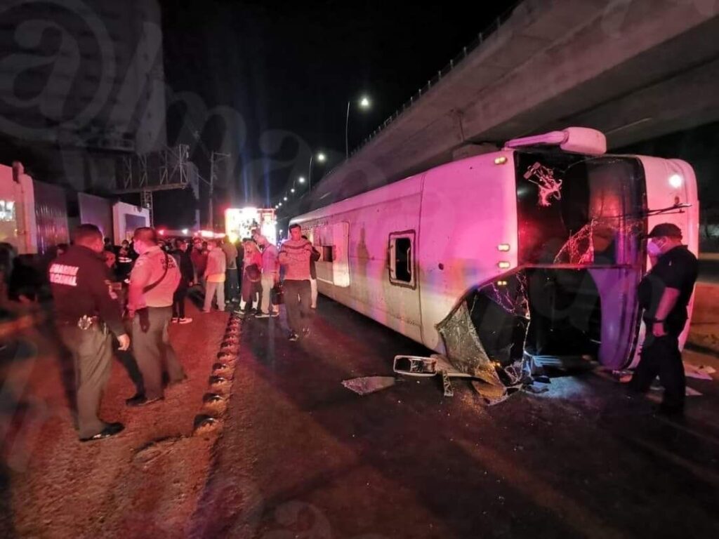 BF8E5604 837B 4023 AE78 8A7C8CE23D03