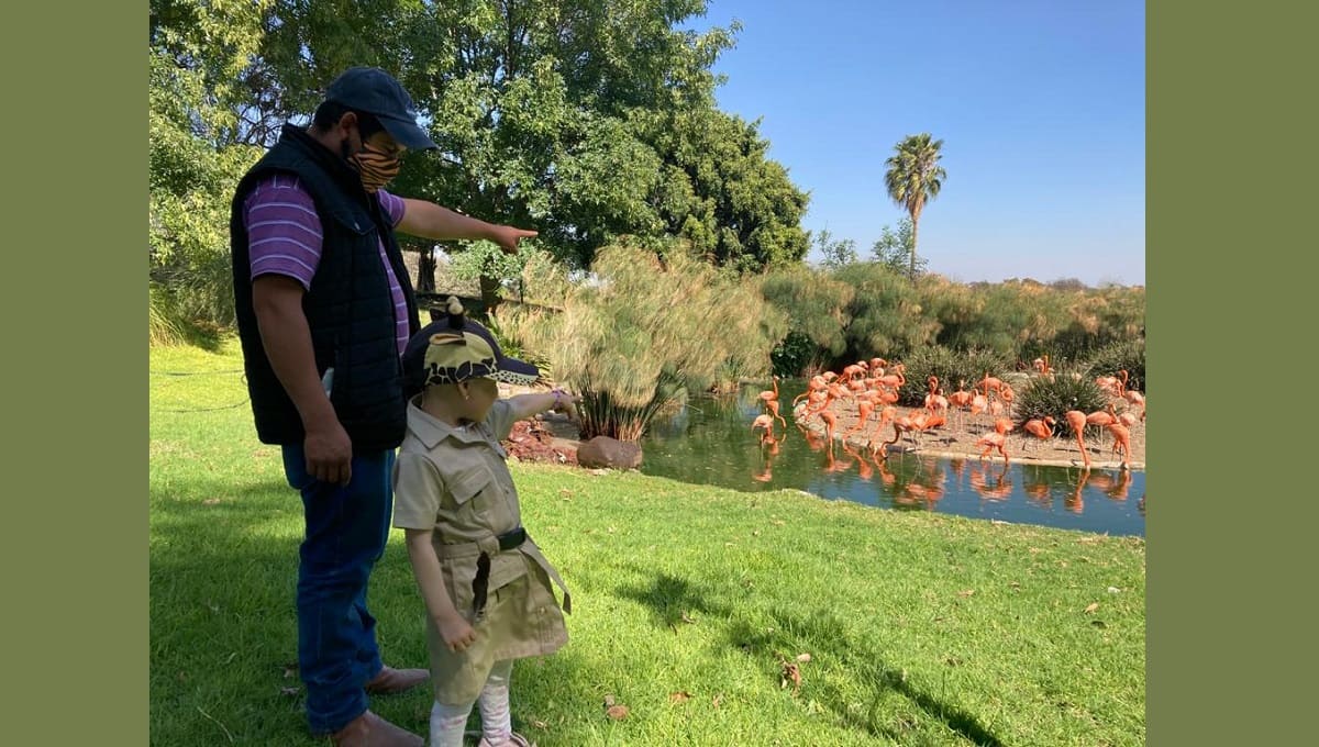 FOTOS: "La pequeña Hannia no deja de inspirarnos", ahora recorre el Africam Safari 2 HANNIA 1