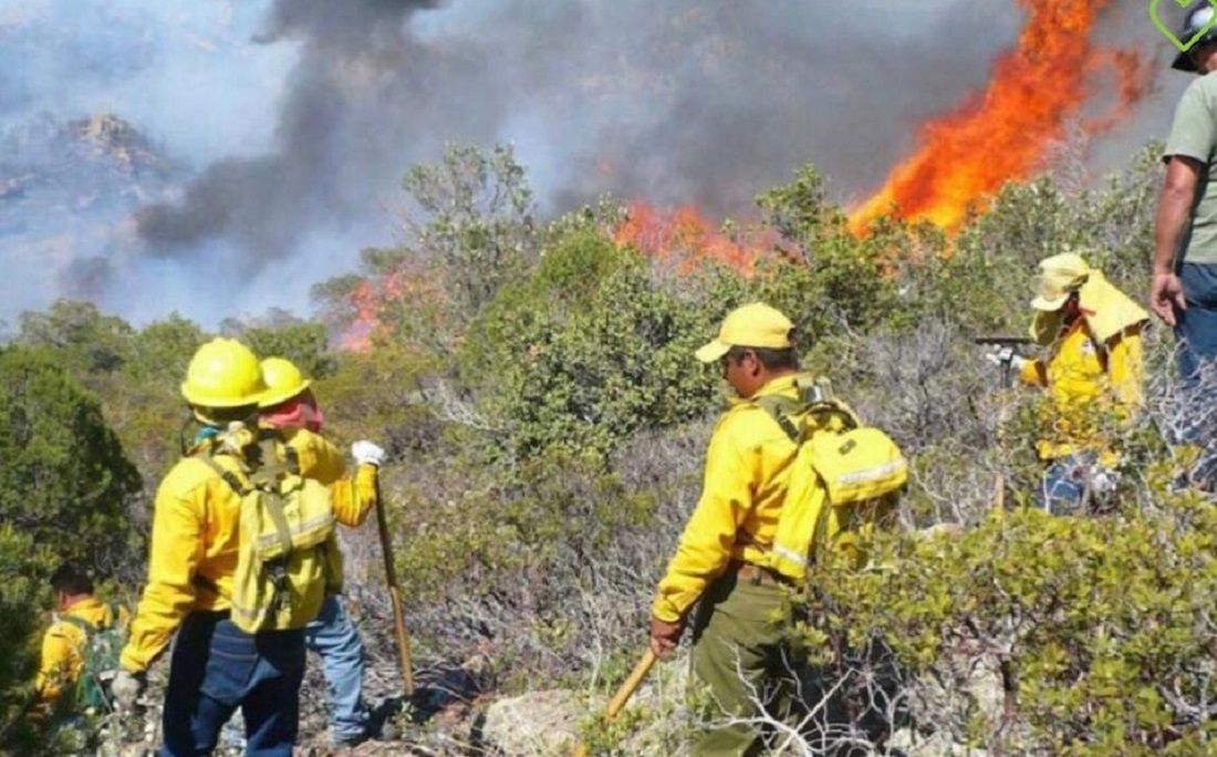 Se registran 77 incendios forestales este lunes en México 2 Incendios Forestales