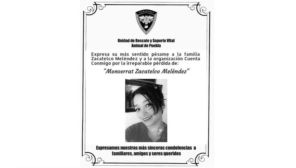 Monse 2