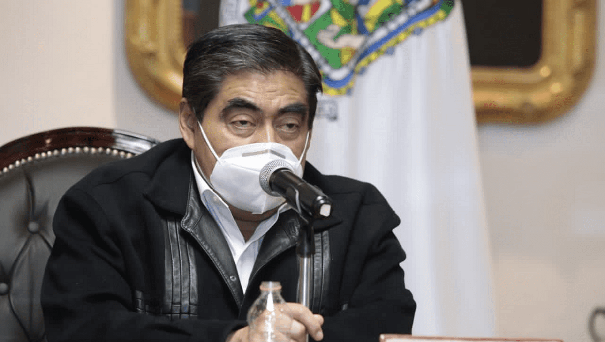 barbosa eloisa vivanco1 1