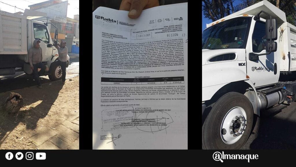 bosques de san sebastian