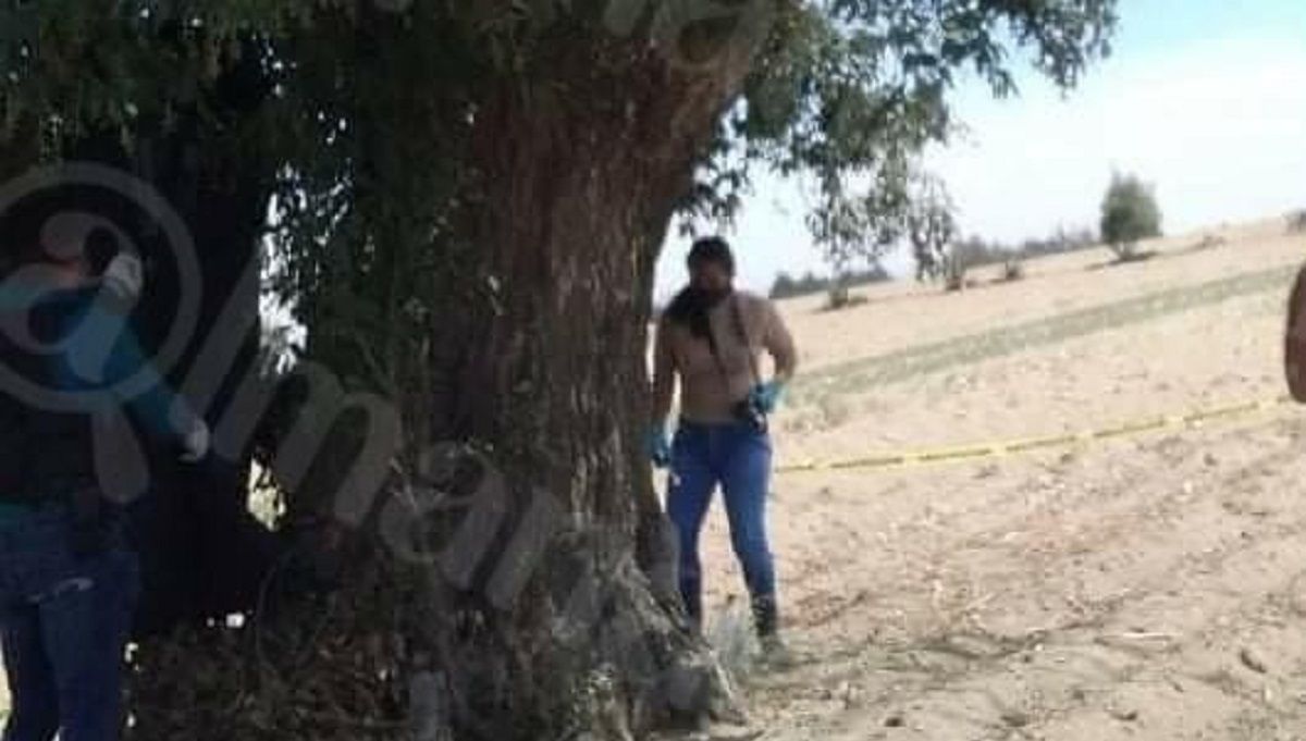 Hombre se cuelga de un árbol luego de asesinar a su esposa en Tlachichuca 2 ee0f9b5b 1260 4700 b771 172d3553e08e