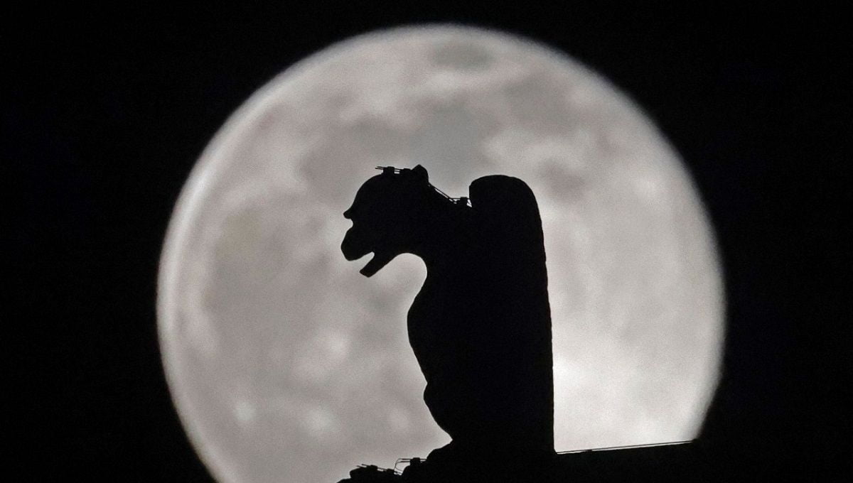 FOTOS: Febrero se despide con impresionante Luna de Nieve 馃寱 2 luni