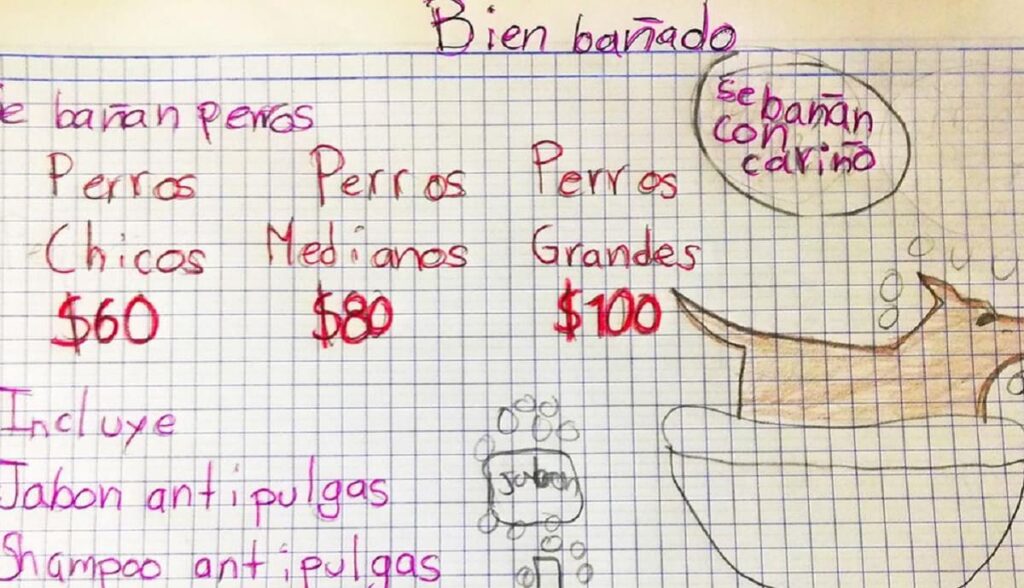 nino bana perritos 1