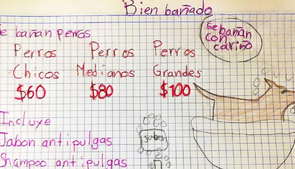 Niño baña perritos para pagar sus estudios en Monterrey ¡Quiere ser veterinario! 2 nino bana perritos 1