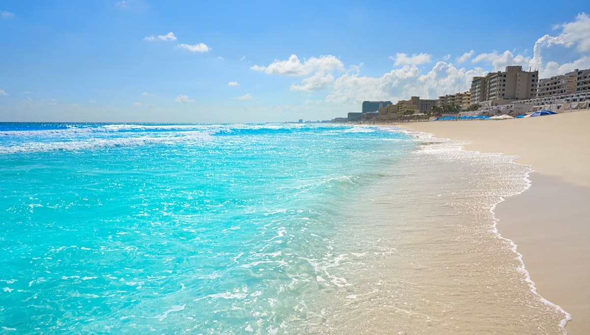 Desmiente AMLO que playas de Quintana Roo tengan Sargazo 2 playa marlin 1