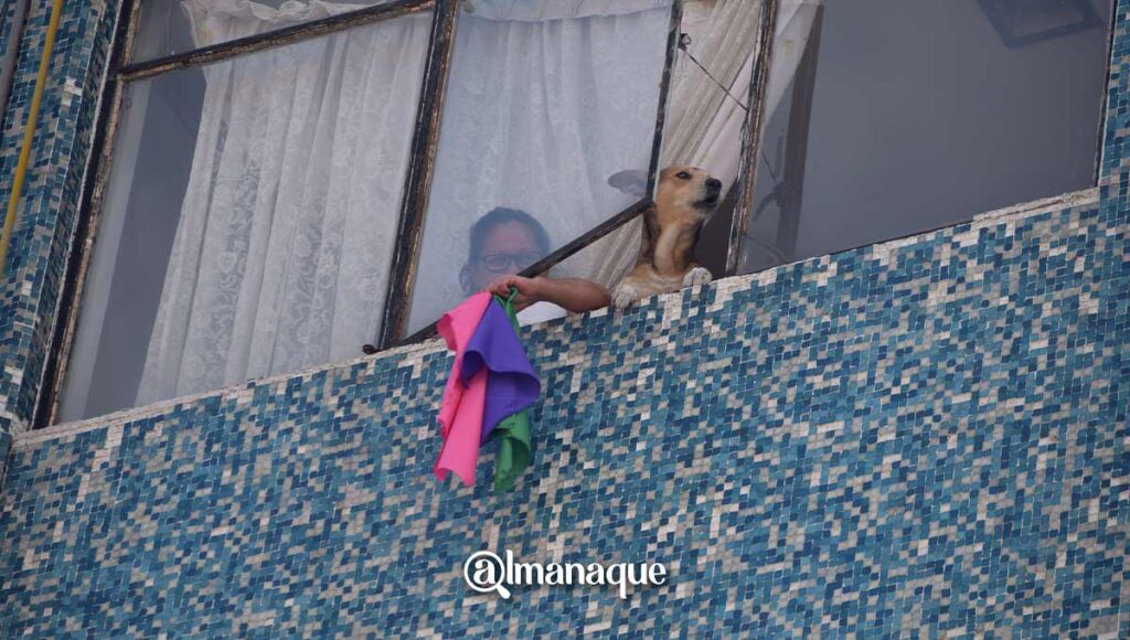 portada Ventana feminista