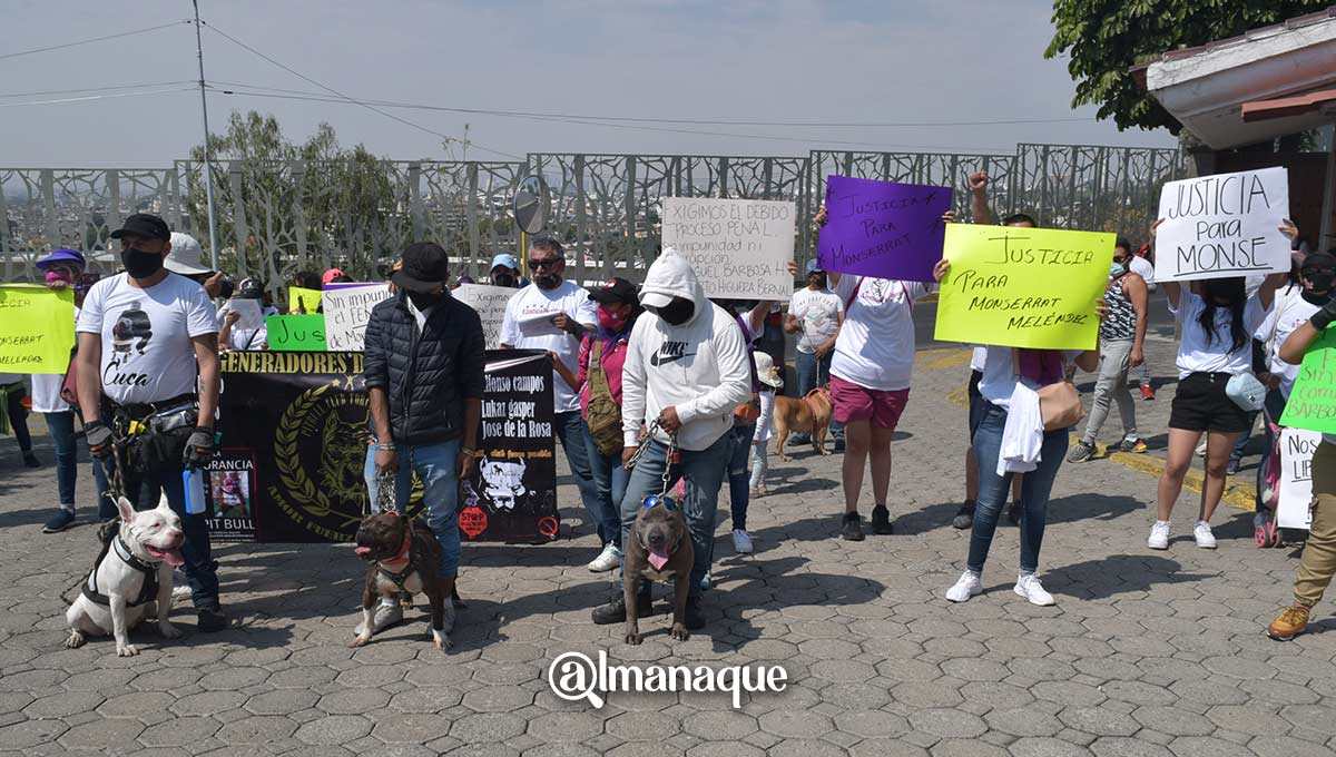 Dan el último adiós a Monserrat; organizan caminata con los perros que rescató en Puebla 6 portada justicia Montse