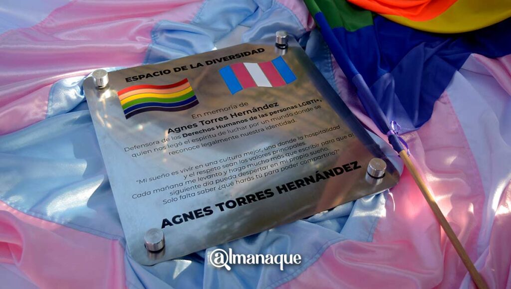 portada placa agnes
