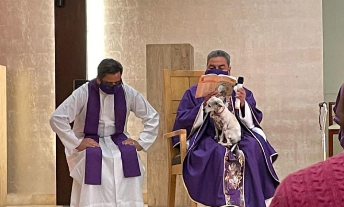 La FOTO del sacerdote oficiando una misa que se ha vuelto viral en redes 2 sacerdote perro