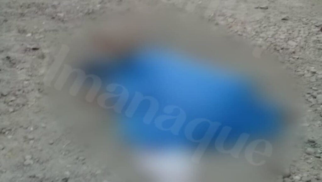 176468002 503123257397032 1633428149375900587 n 1