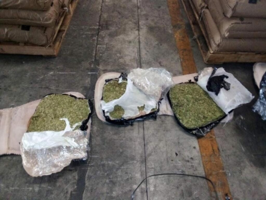 FOTOS: Hallan una tonelada de marihuana en respaldos de asientos de autos en Cdmx 8 2562370