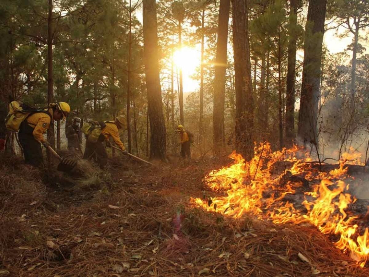 Incendio en Cumbres de Monterrey cumple 25 días activo 2 2569737