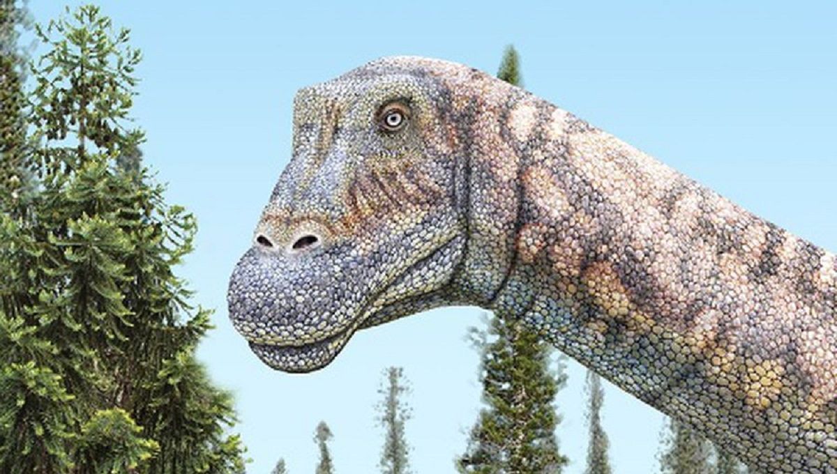 Descubren especie de dinosaurio que vivió en Chile hace 66 millones de años 2 DINO