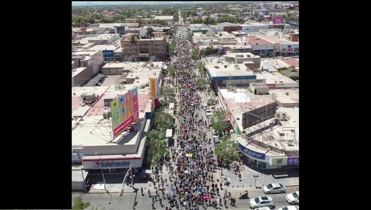 ¡La FOTO del día! Cientos de personas piden justicia para el perrito Rodolfo en Sinaloa 2 Los Monchis
