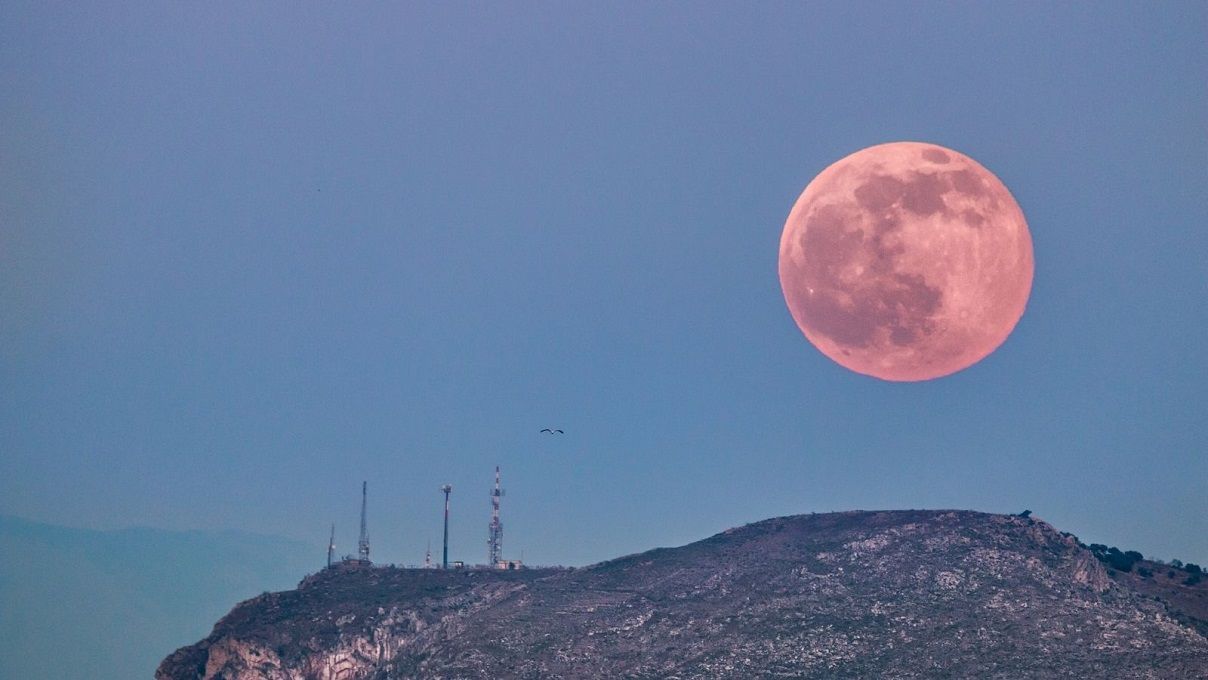 Las imágenes más espectaculares del “Pink Moon” 😍 2 Luna rosa
