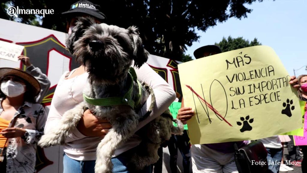 Marcha Justicia Rodolfo1