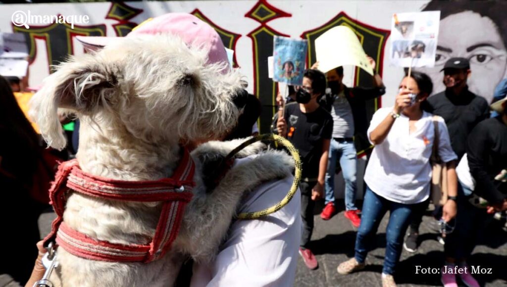 Marcha Justicia Rodolfo2