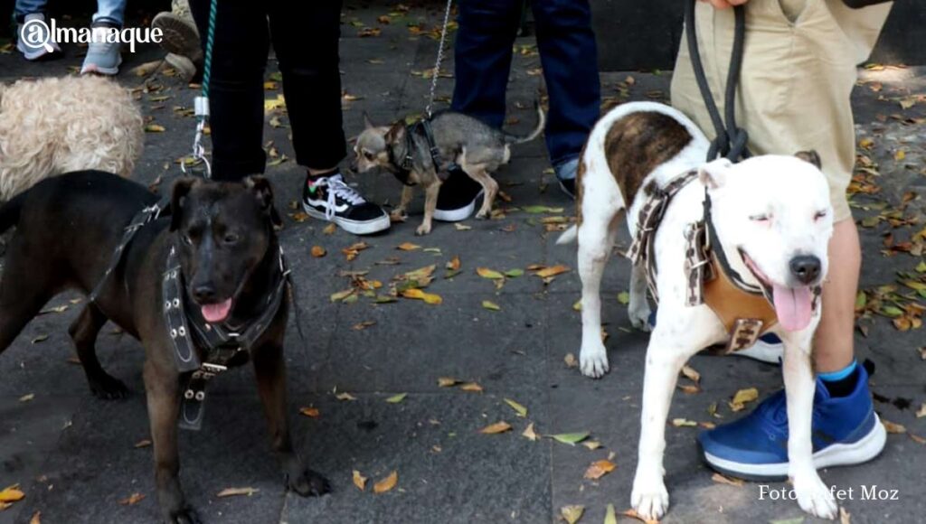 Marcha Justicia Rodolfo4