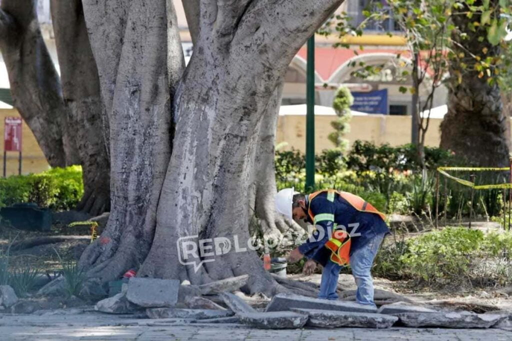 WhatsApp Image 2021 04 07 at 3.42.09 PM 1