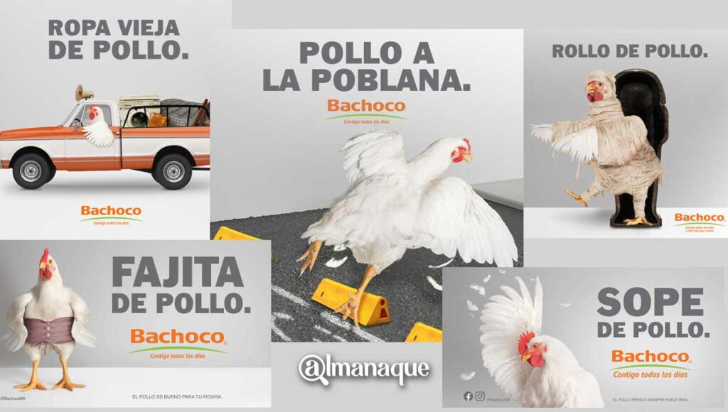¡Cracks! Estos son los mejores anuncios publicitarios de Bachoco