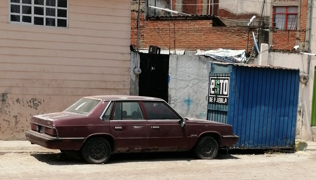 Denuncian que un hombre de 70 años viola a su perrita en Puebla 2 casa