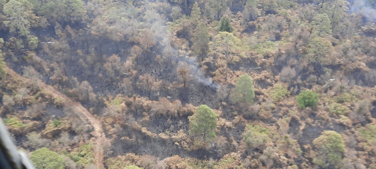 CONAFOR liquida en un 90% incendio forestal en El Tepozteco 2 controlan incendio en Morelos