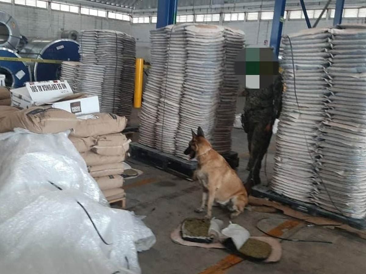 FOTOS: Hallan una tonelada de marihuana en respaldos de asientos de autos en Cdmx 5 encuentran marihuana que iba a Chile