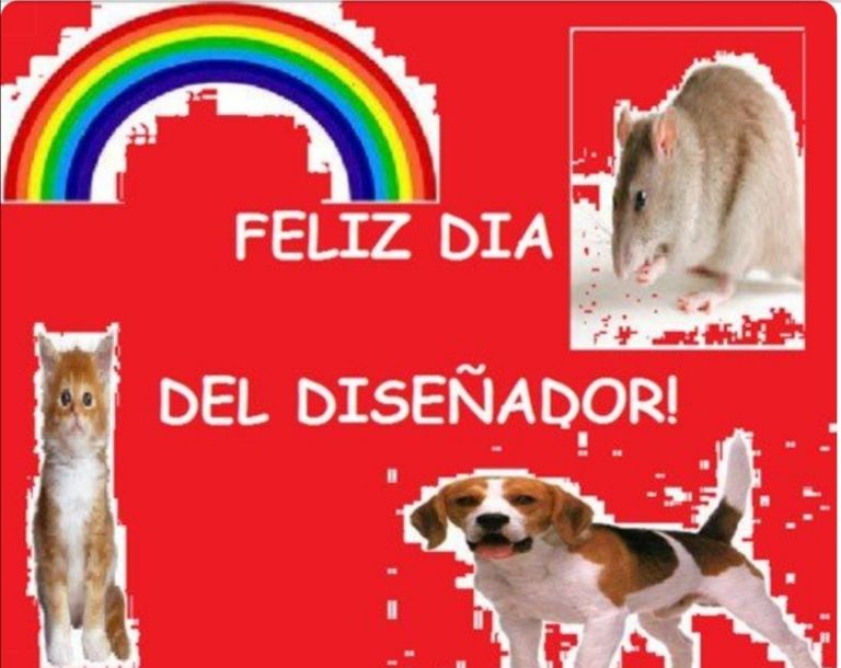 f768x1 362653 362780 40