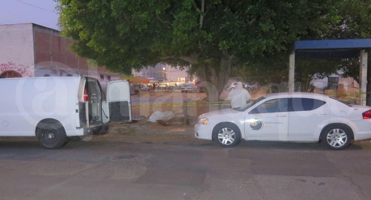 Hombre en estado de ebriedad muere por broncoaspiración en una jardinera de Loma Bella 2 jardinera