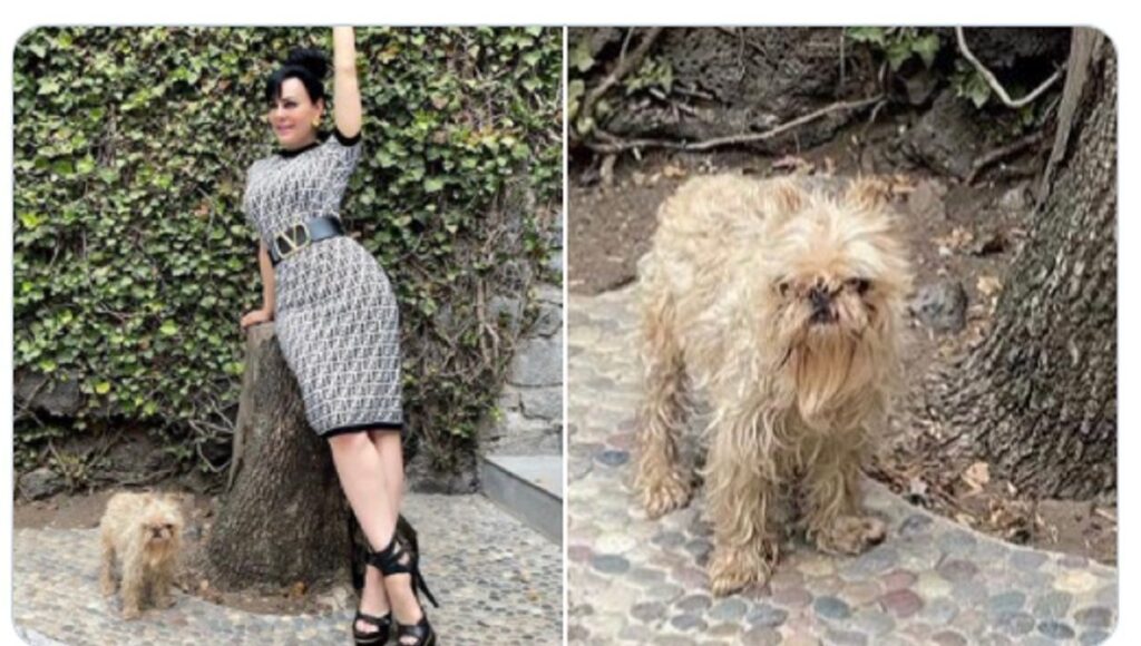 maribel guardia