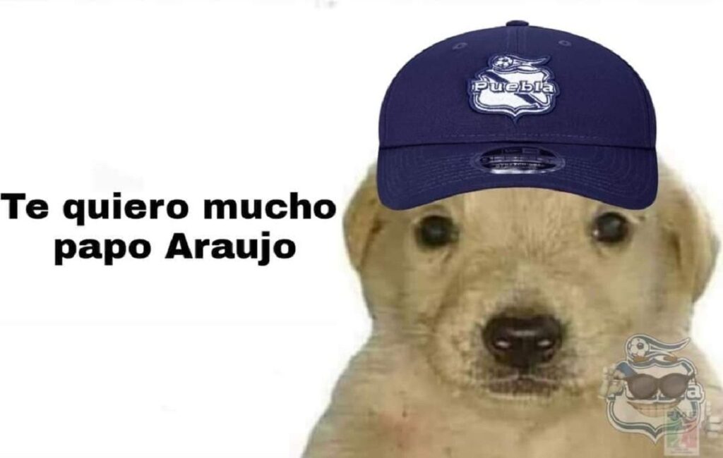 memes puebla 3