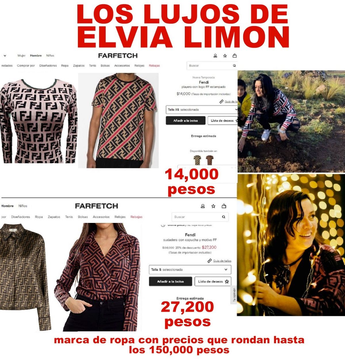 Elvia Limon2