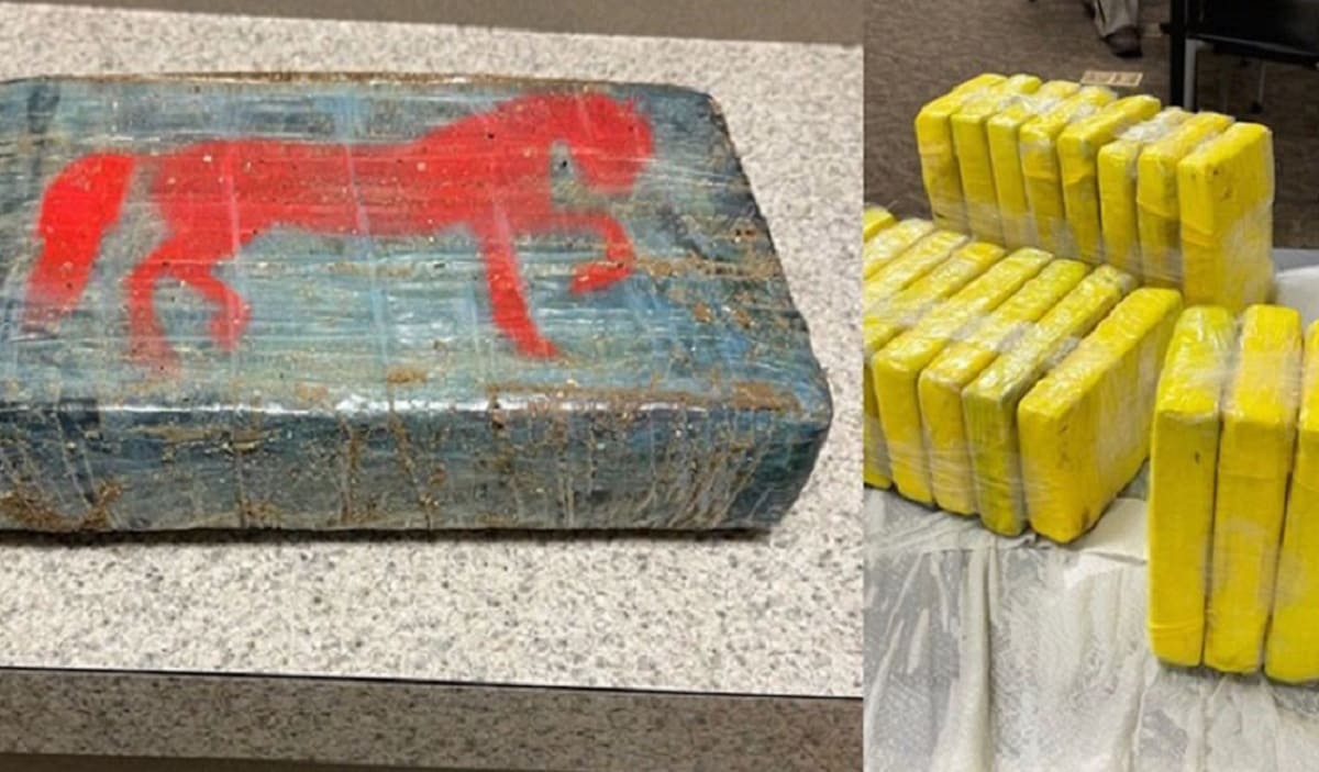 ¡Como magia! Aparecen varios paquetes de cocaína en una playa de Texas 3 cocaina 1
