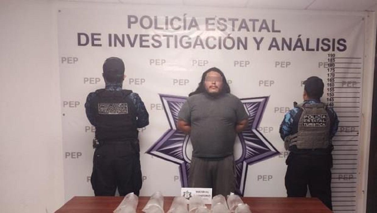 Detienen a presunto vendedor de ajolotes, anfibio en peligro de extinción 2 estatal